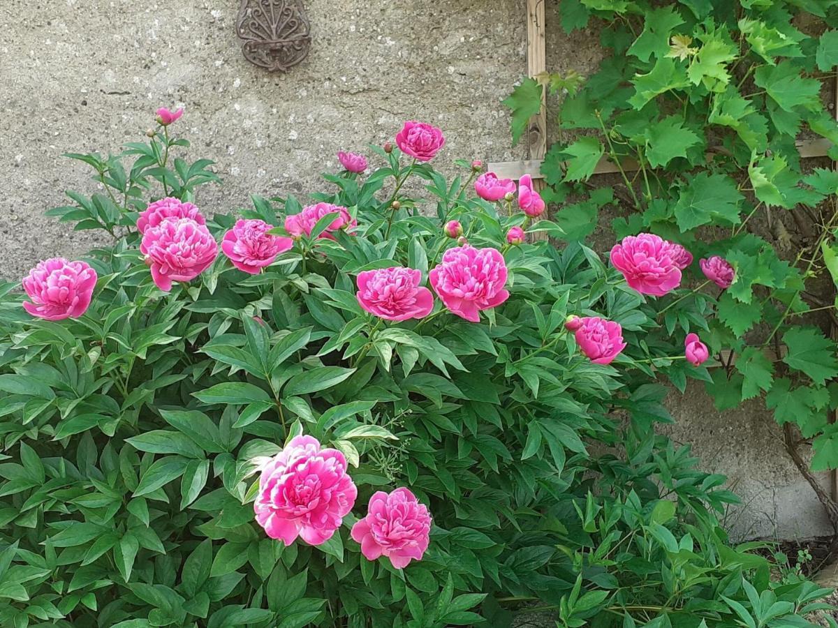 Idyllic Bungalow In Pepelow With Garden ภายนอก รูปภาพ